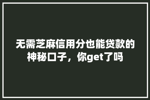 无需芝麻信用分也能贷款的神秘口子，你get了吗