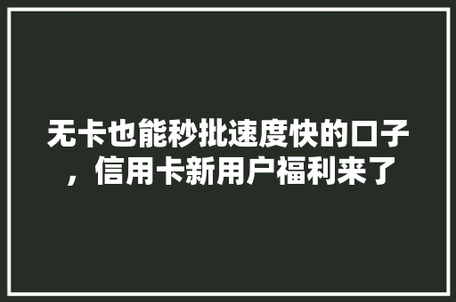 无卡也能秒批速度快的口子，信用卡新用户福利来了