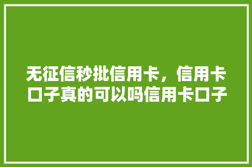 无征信秒批信用卡，信用卡口子真的可以吗信用卡口子的真相与风险