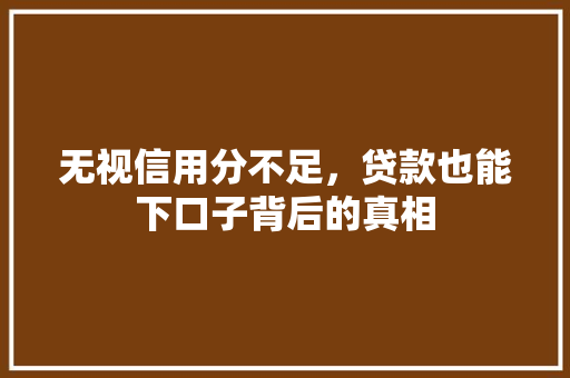 无视信用分不足，贷款也能下口子背后的真相