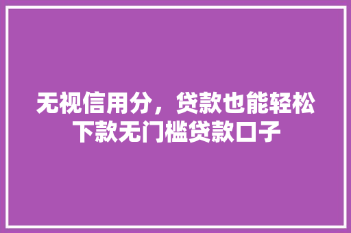 无视信用分，贷款也能轻松下款无门槛贷款口子