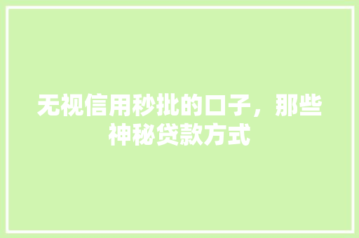 无视信用秒批的口子，那些神秘贷款方式