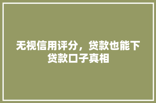 无视信用评分，贷款也能下贷款口子真相