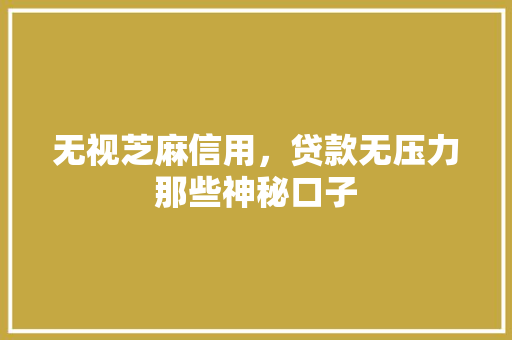 无视芝麻信用，贷款无压力那些神秘口子