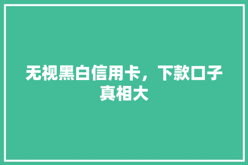 无视黑白信用卡，下款口子真相大