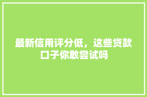 最新信用评分低，这些贷款口子你敢尝试吗