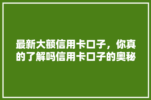 最新大额信用卡口子，你真的了解吗信用卡口子的奥秘