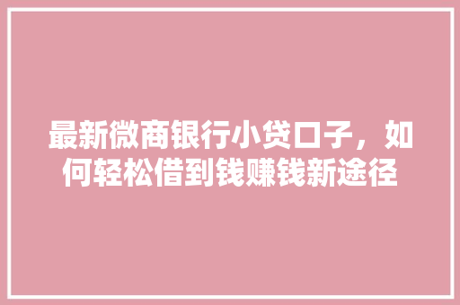 最新微商银行小贷口子，如何轻松借到钱赚钱新途径