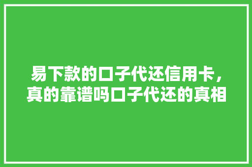 易下款的口子代还信用卡，真的靠谱吗口子代还的真相与风险