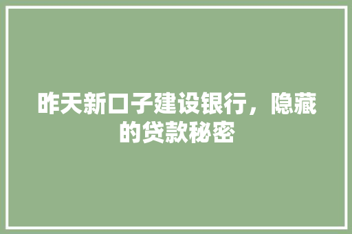 昨天新口子建设银行，隐藏的贷款秘密