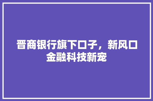 晋商银行旗下口子，新风口金融科技新宠