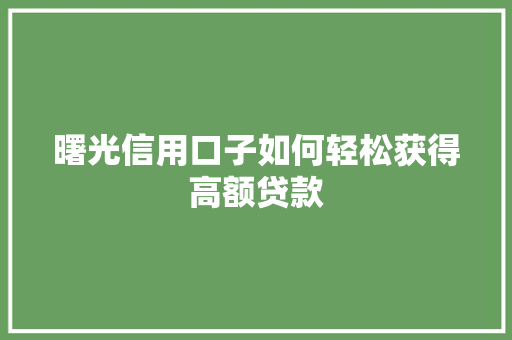 曙光信用口子如何轻松获得高额贷款