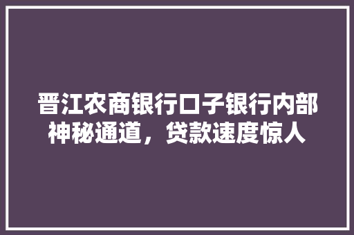 晋江农商银行口子银行内部神秘通道，贷款速度惊人