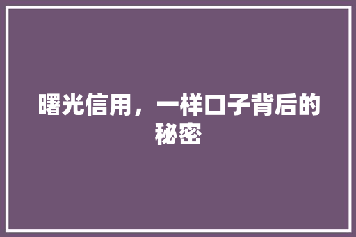 曙光信用，一样口子背后的秘密