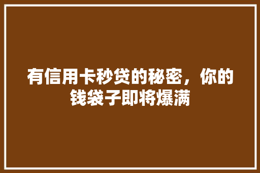 有信用卡秒贷的秘密，你的钱袋子即将爆满