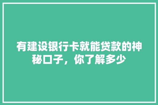 有建设银行卡就能贷款的神秘口子，你了解多少