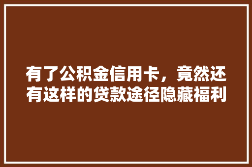 有了公积金信用卡，竟然还有这样的贷款途径隐藏福利