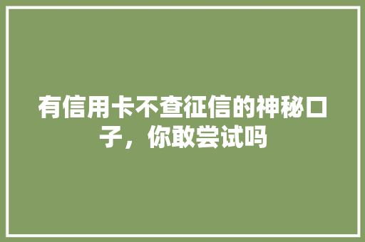 有信用卡不查征信的神秘口子，你敢尝试吗