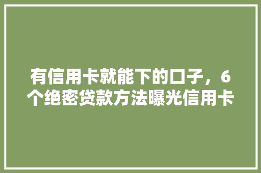 有信用卡就能下的口子，6个绝密贷款方法曝光信用卡背后的贷款秘密
