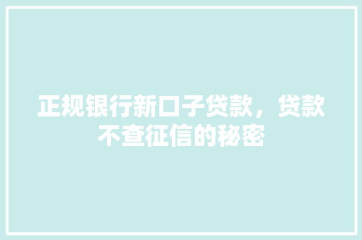 正规银行新口子贷款，贷款不查征信的秘密