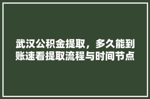 武汉公积金提取，多久能到账速看提取流程与时间节点