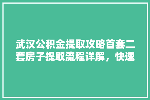 武汉公积金提取攻略首套二套房子提取流程详解，快速学会省一大笔