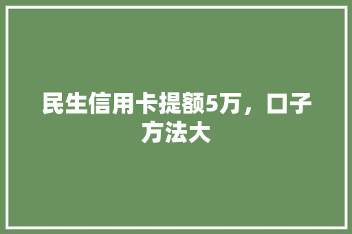 民生信用卡提额5万，口子方法大