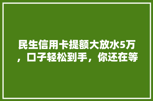 民生信用卡提额大放水5万，口子轻松到手，你还在等什么