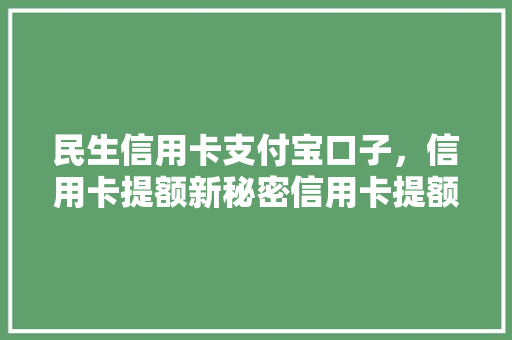 民生信用卡支付宝口子，信用卡提额新秘密信用卡提额的神秘途径