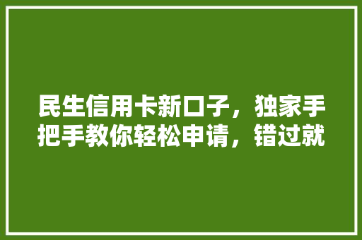 民生信用卡新口子，独家手把手教你轻松申请，错过就亏大了
