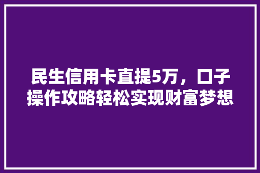 民生信用卡直提5万，口子操作攻略轻松实现财富梦想