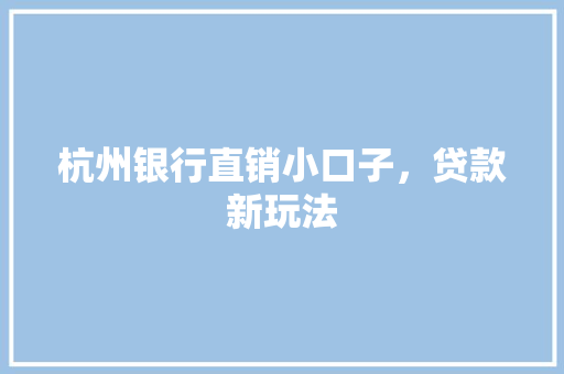 杭州银行直销小口子，贷款新玩法