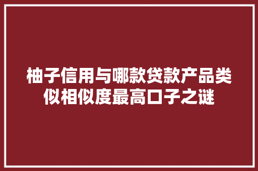 柚子信用与哪款贷款产品类似相似度最高口子之谜