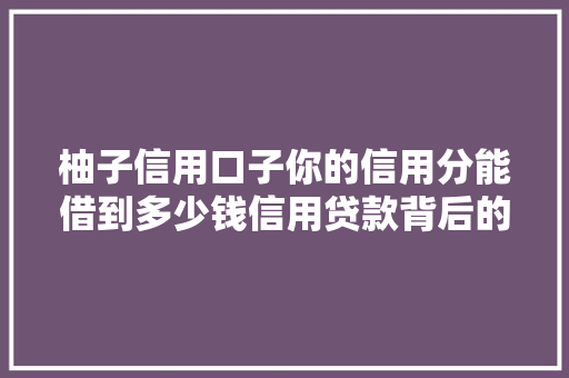 柚子信用口子你的信用分能借到多少钱信用贷款背后的秘密