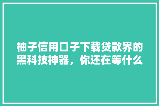 柚子信用口子下载贷款界的黑科技神器，你还在等什么