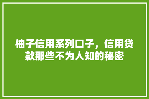 柚子信用系列口子，信用贷款那些不为人知的秘密