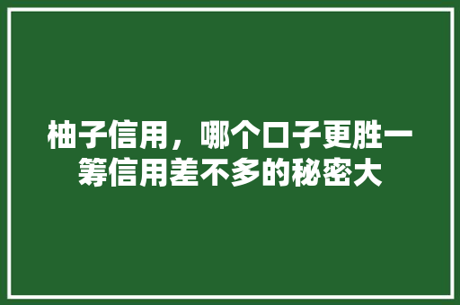 柚子信用，哪个口子更胜一筹信用差不多的秘密大