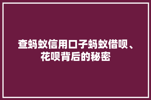 查蚂蚁信用口子蚂蚁借呗、花呗背后的秘密
