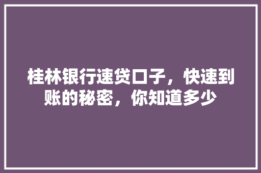 桂林银行速贷口子，快速到账的秘密，你知道多少