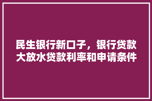 民生银行新口子，银行贷款大放水贷款利率和申请条件大