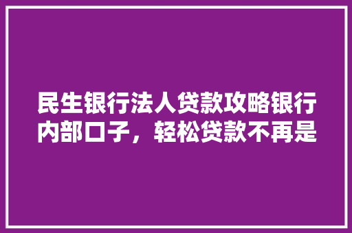 民生银行法人贷款攻略银行内部口子，轻松贷款不再是梦