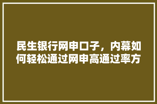 民生银行网申口子，内幕如何轻松通过网申高通过率方法
