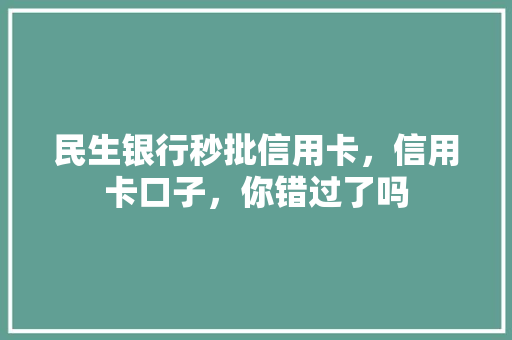 民生银行秒批信用卡，信用卡口子，你错过了吗