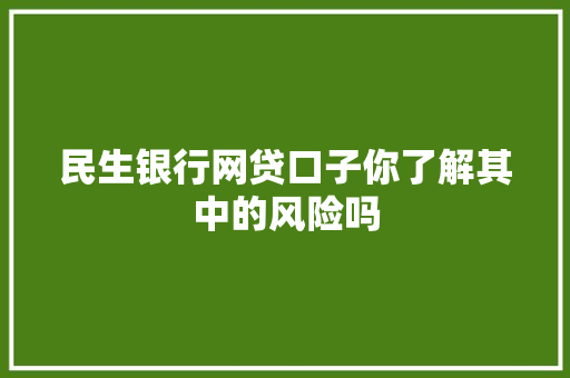 民生银行网贷口子你了解其中的风险吗