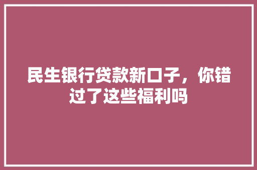 民生银行贷款新口子，你错过了这些福利吗