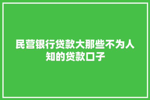 民营银行贷款大那些不为人知的贷款口子