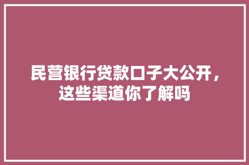 民营银行贷款口子大公开，这些渠道你了解吗