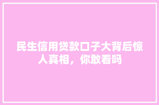 民生信用贷款口子大背后惊人真相，你敢看吗
