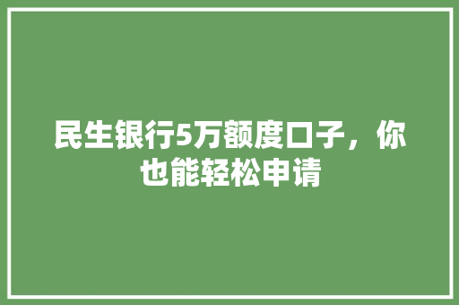 民生银行5万额度口子，你也能轻松申请