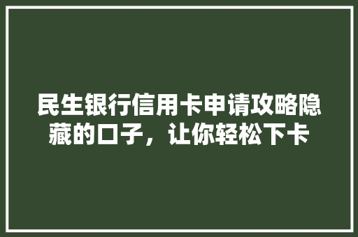 民生银行信用卡申请攻略隐藏的口子，让你轻松下卡